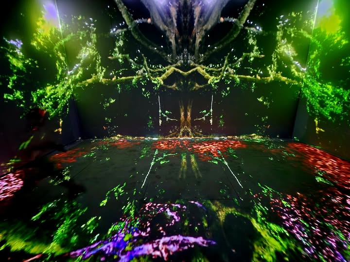 Funeral for Ashes — projected ash tree point cloud filling the installation room