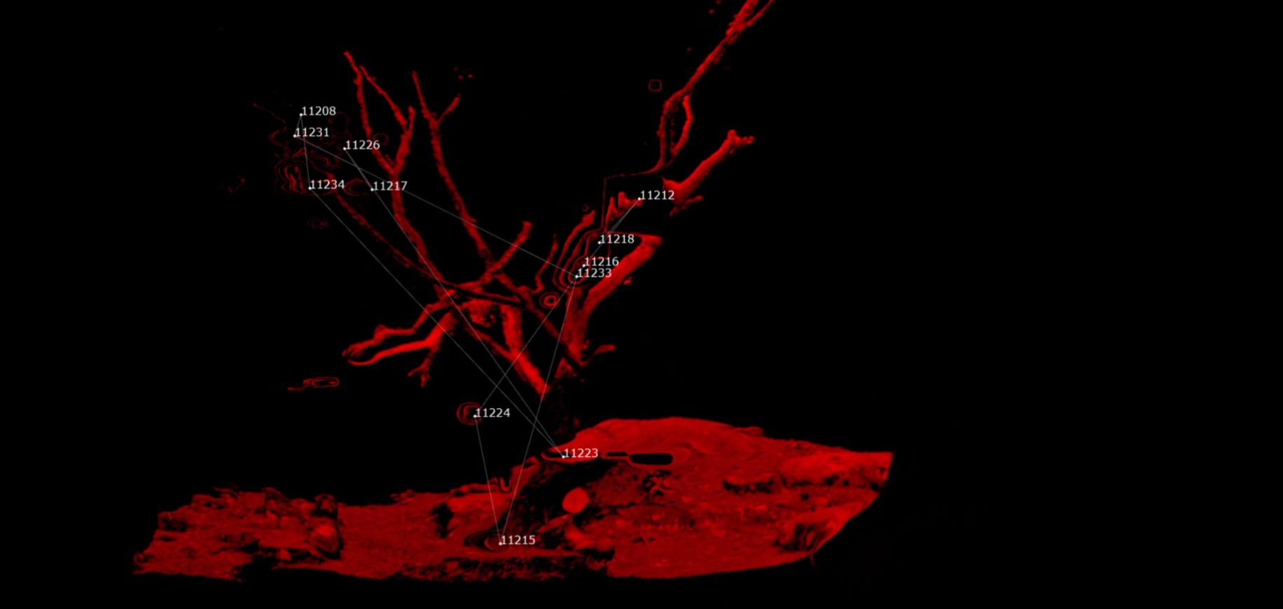 Red-rendered LiDAR point cloud of a tree with survey markers